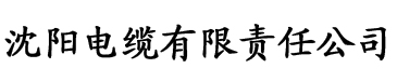 精品国产AV无码一区二区三区电缆厂logo